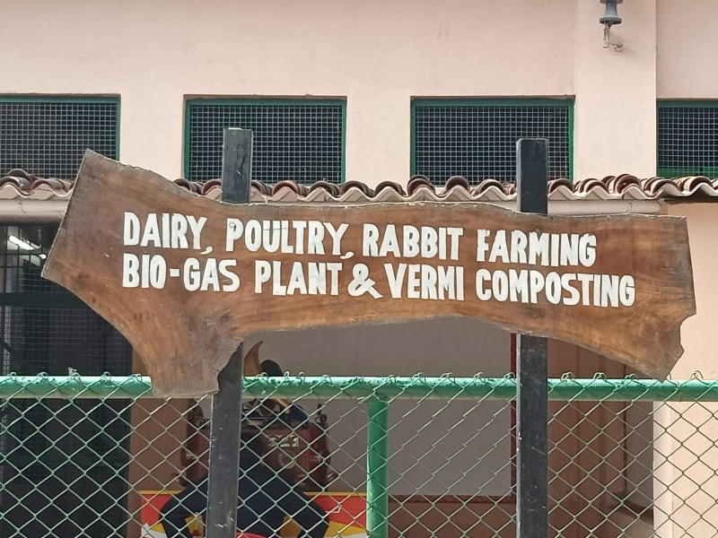 Activity Lawn Pratapgarh Farms